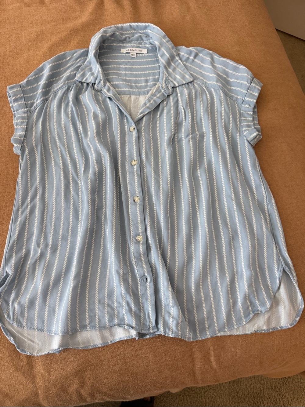 Rose & Olive Light Blue & White Striped Button-Down Shirt